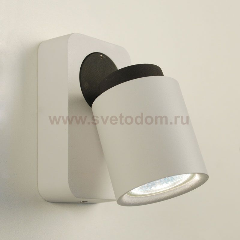 Светильник настенно-потолочный Citilux CL533511