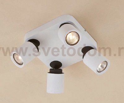 Светильник настенно-потолочный Citilux CL533541