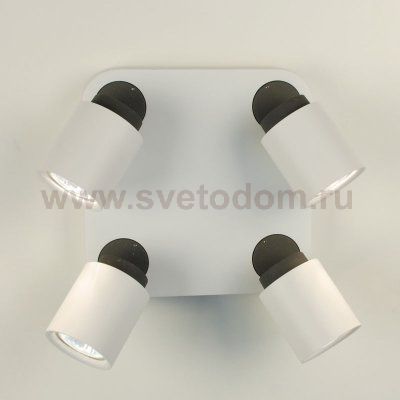 Светильник настенно-потолочный Citilux CL533541