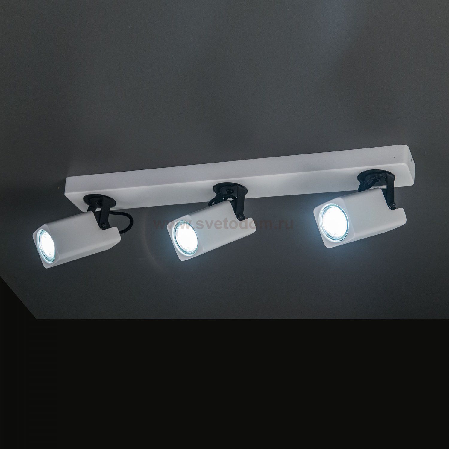 Светильник поворотный спот Citilux CL533630 Норман