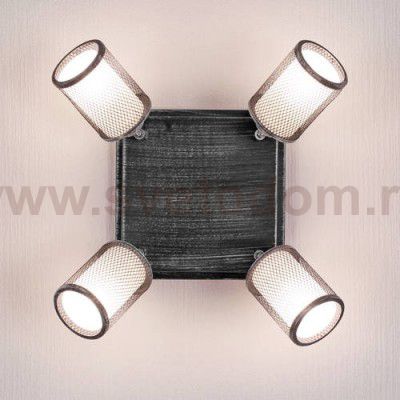 Светильник настенно-потолочный Citilux CL535541 Робин