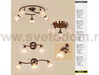 Светильник настенно-потолочный Citilux CL539521 Виндзор