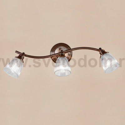 Светильник настенно-потолочный Citilux CL539531 Виндзор