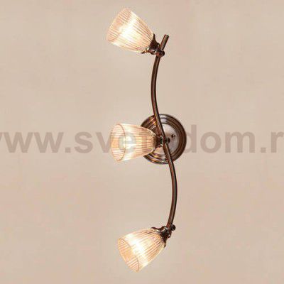 Светильник настенно-потолочный Citilux CL539531 Виндзор