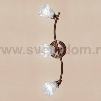 Светильник настенно-потолочный Citilux CL539531 Виндзор