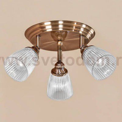 Светильник настенно-потолочный Citilux CL539631 Виндзор