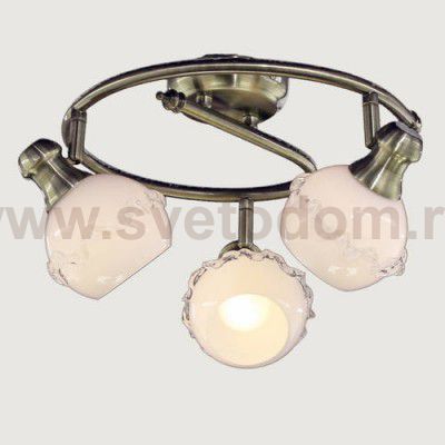 Светильник настенно-потолочный Citilux CL540531 Кампана