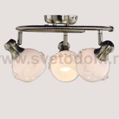 Светильник настенно-потолочный Citilux CL540531 Кампана