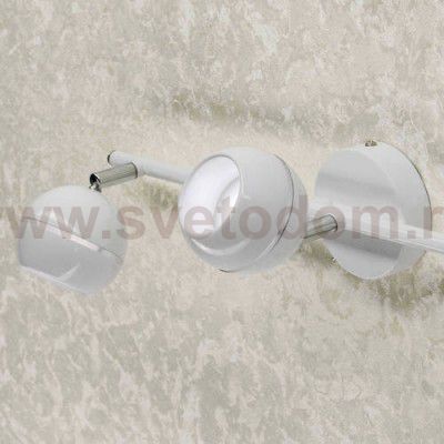 Спот поворотный Citilux CL555530 Раймонд