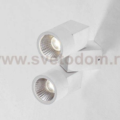 Светильник настенный бра Citilux CL556100 Дубль