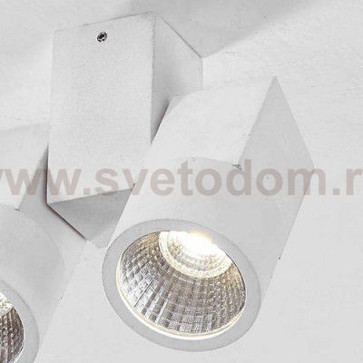 Светильник настенный бра Citilux CL556100 Дубль