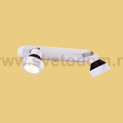 Светильник настенно-потолочный Citilux CL557521 Данди