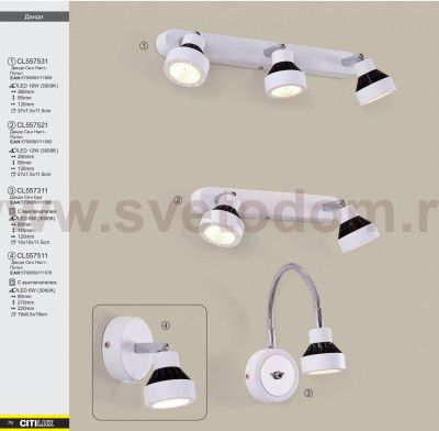 Светильник настенно-потолочный Citilux CL557521 Данди
