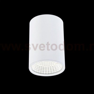 Потолочный светильник Citilux CL558100 Стамп