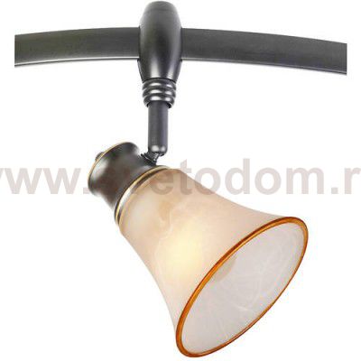 Трековый светильник Citilux CL560165 Трек