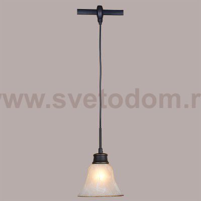 Трековый светильник Citilux CL560215 Классик