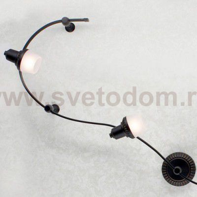 Трековый светильник Citilux CL562141 Антиб