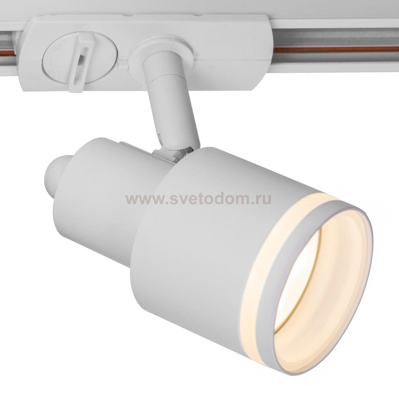 Трековый светильник Citilux CL565T10 Bruno