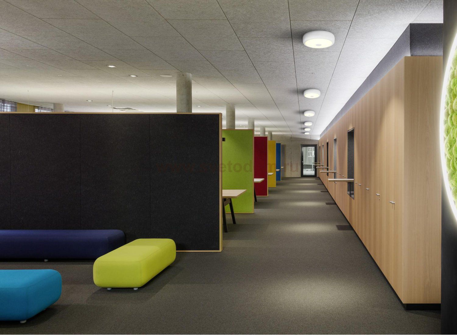 Светильник настенно-потолочный Citilux CL706310 Фостер-3