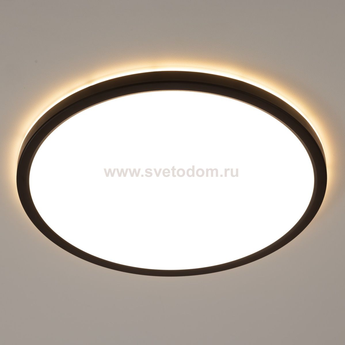 Светильник накладной Citilux CL738321EL Basic Line