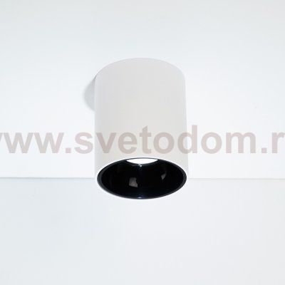 Светильник накладной Citilux CL7440101 Старк