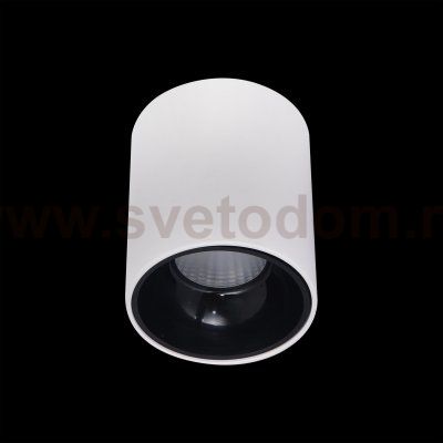 Светильник накладной Citilux CL7440101 Старк