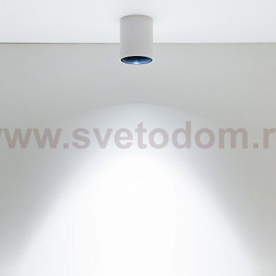 Светильник накладной Citilux CL7440101 Старк