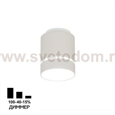 Светильник накладной Citilux CL745020N Борн