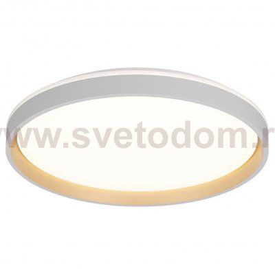 Светильник потолочный Citilux CL753510G ENZO