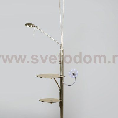 Торшер напольный Citilux cl801001F Тандем