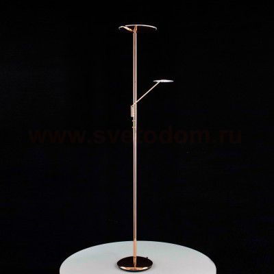 Торшер напольный Citilux CL802005