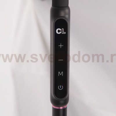 Светильник напольный Citilux CL804021