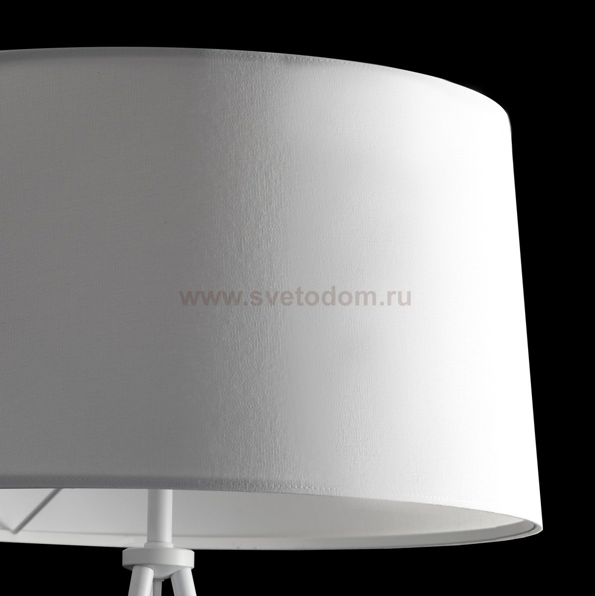 Торшер Citilux CL806020 Рейнер