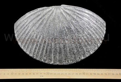 Светильник бра Maytoni C809-WL-01-N Bonnet