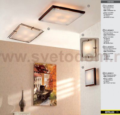 Светильник настенно-потолочный Citilux CL939201 Спутник