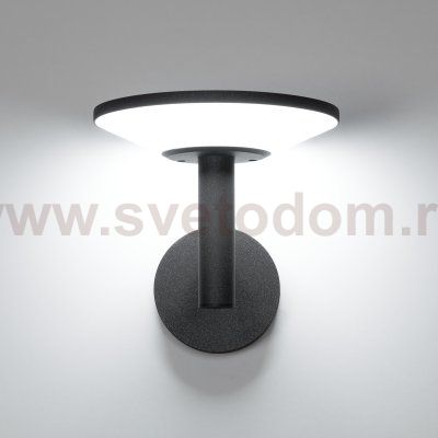 Уличный настенный светильник Citilux CLU05W Dorn