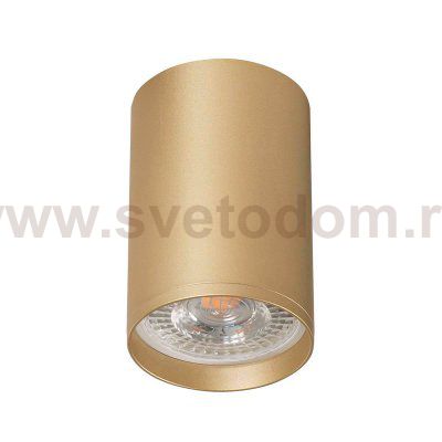 Накладной светильник Denkirs DK2050-SG TUBE