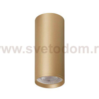 Накладной светильник Denkirs DK2051-SG TUBE