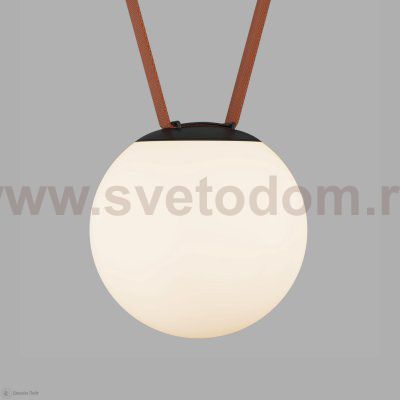 Светильник на шине Denkirs DK5553-BK BELTY ORB