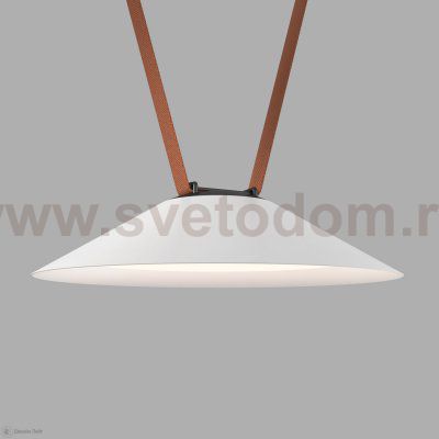 Светильник на шине Denkirs DK5565-WH+BK BELTY FLOW