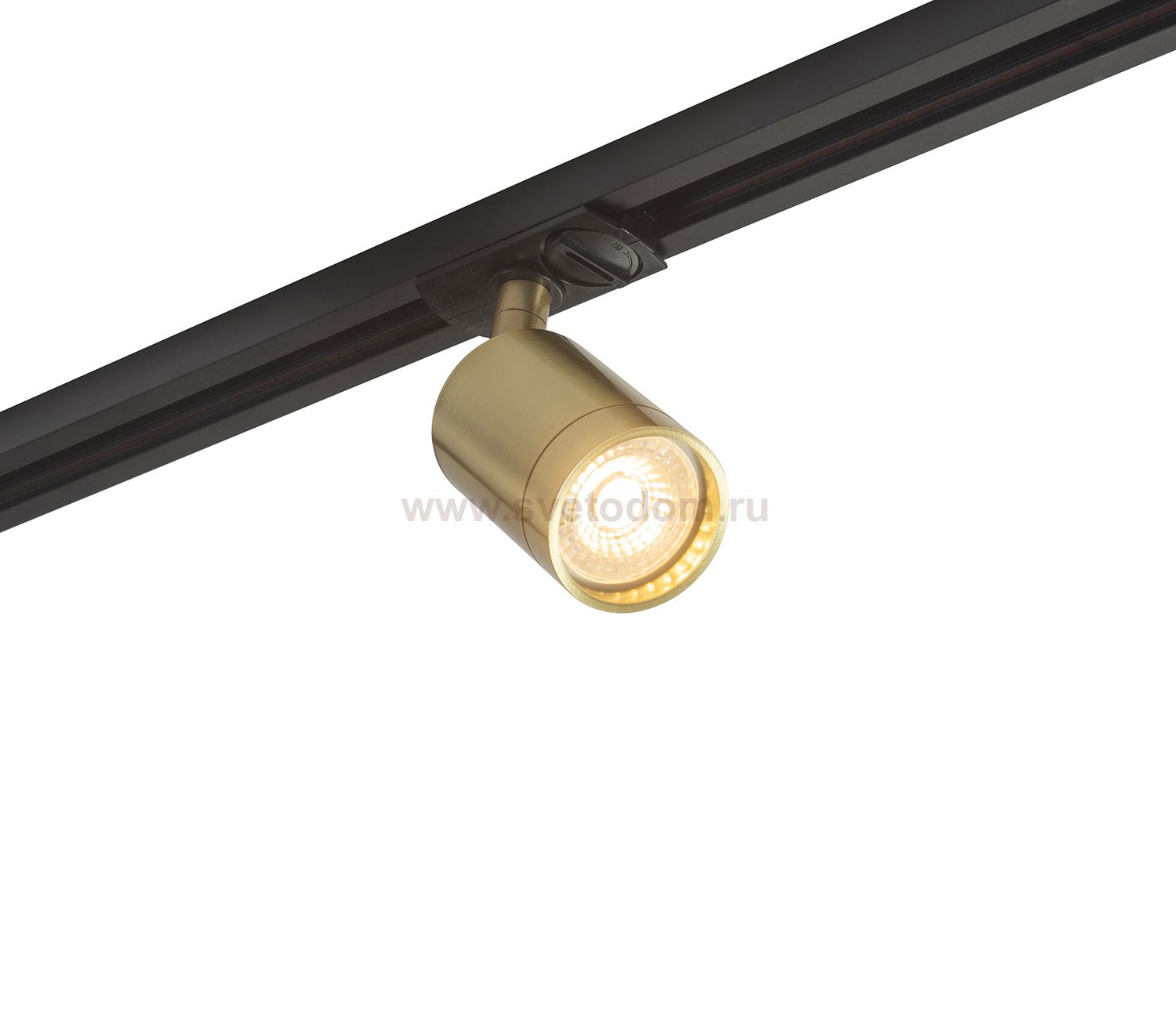 Светильник Denkirs DK6201-BS