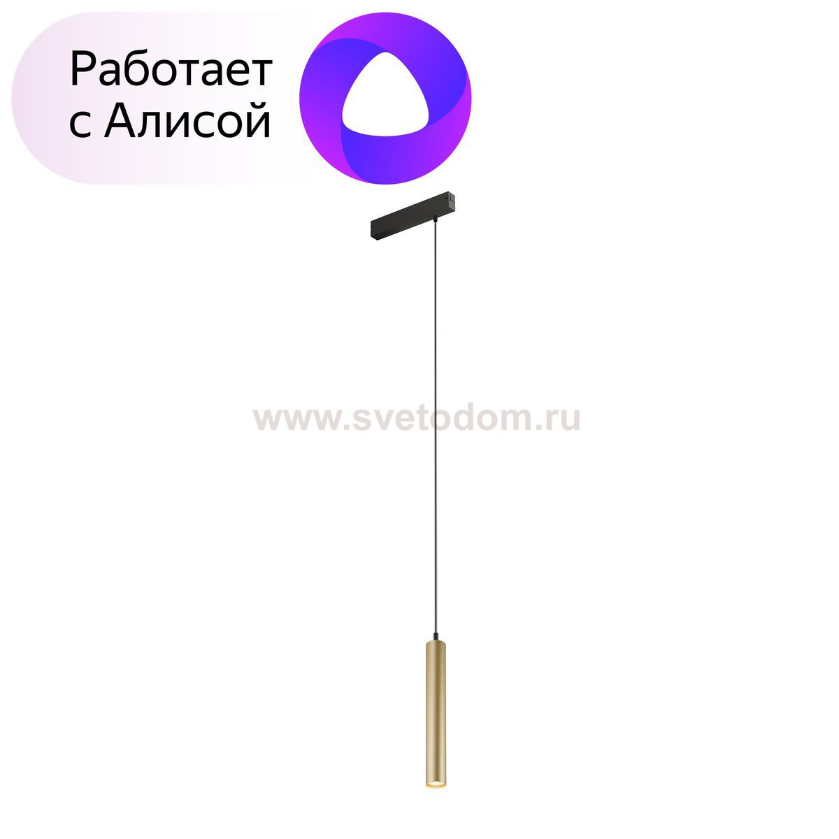 Подвесной светильник Denkirs DK8008-BG