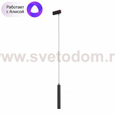 Светильник Denkirs DK8008-BK