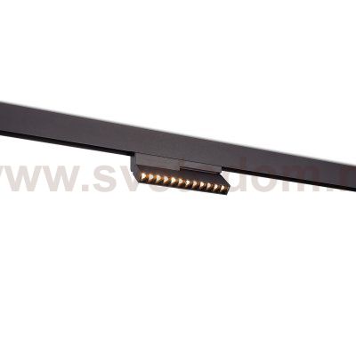 Donolux DL20292WW12B