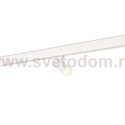 Donolux DL20295WW10W