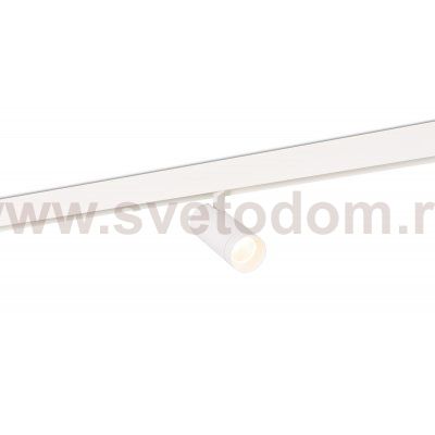 Donolux DL20295WW20W