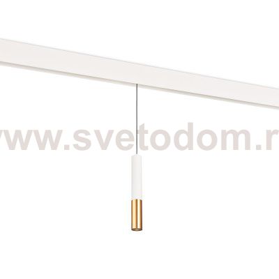 Donolux DL20298WW5WS