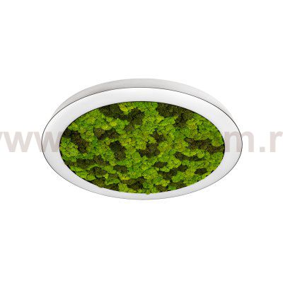 Donolux DL600C54NW Moss White  