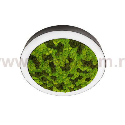 Donolux DL600C54WW Moss Black 