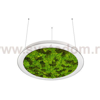 Donolux DL800S72WW Moss White 